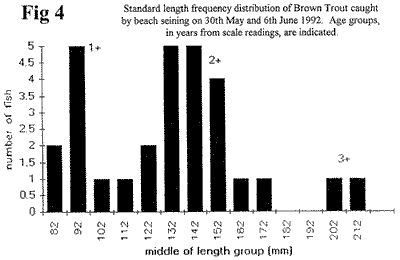 Loch Ness Standard Length Frequency Disrtribution of Brown Trout Caught by Beach Seining.