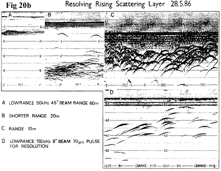 Loch Ness Resolving the Rising Scattering Layer