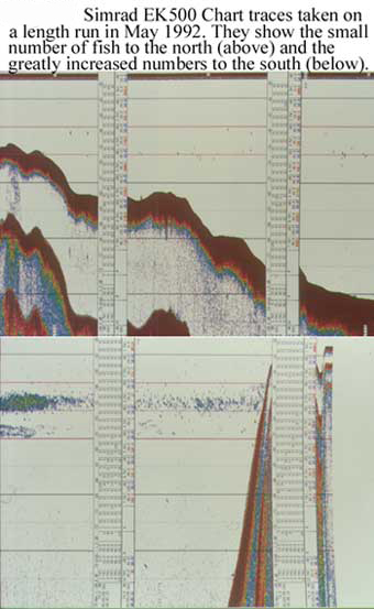 Loch Ness Simrad EK5000 Chart Traces on Length Run