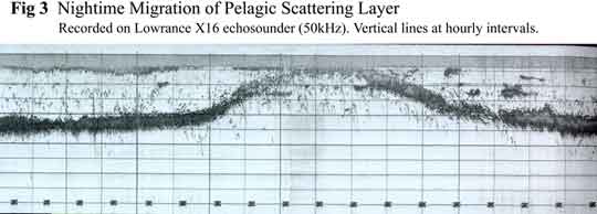 Loch Ness Nightime Migration of Pelagic Scattering Layer
