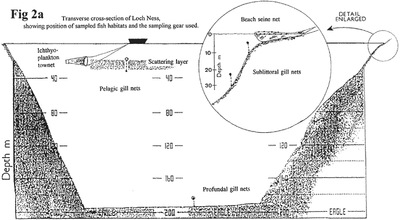 Loch Ness Transverse Cross-section Showibg Position of Sampled Fish Habitats and the Sampling Gear Used