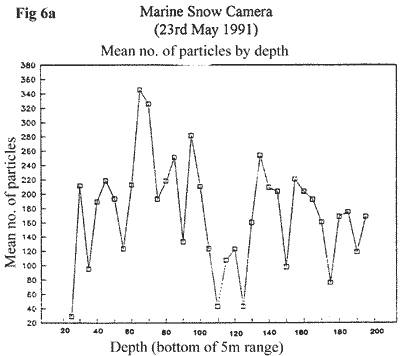Loch Ness Marine Snow Camera Graph