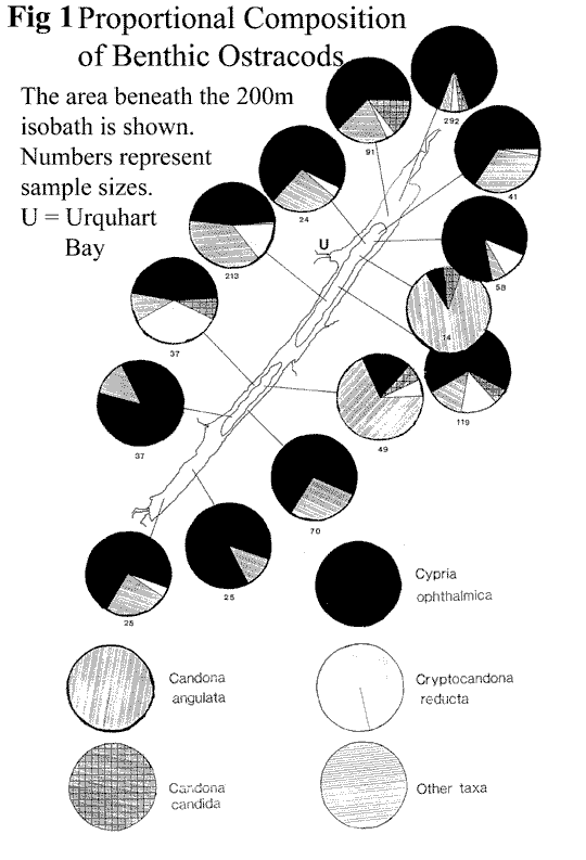 Loch Ness Proportional Composition of Benthic Ostracods